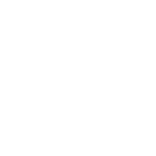 Expert team